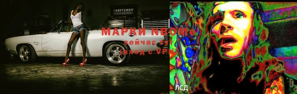 сатива Покров