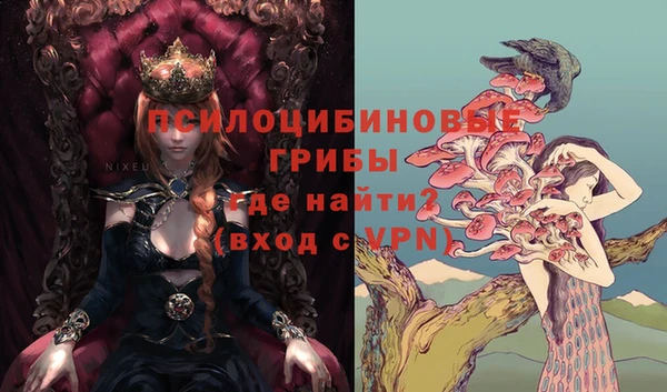 сатива Покров