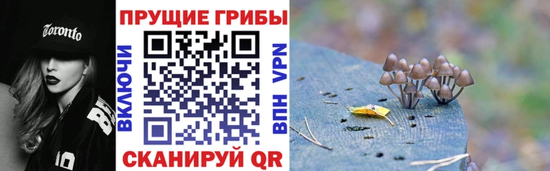 Псилоцибиновые грибы GOLDEN TEACHER  маркетплейс Telegram  Азнакаево 