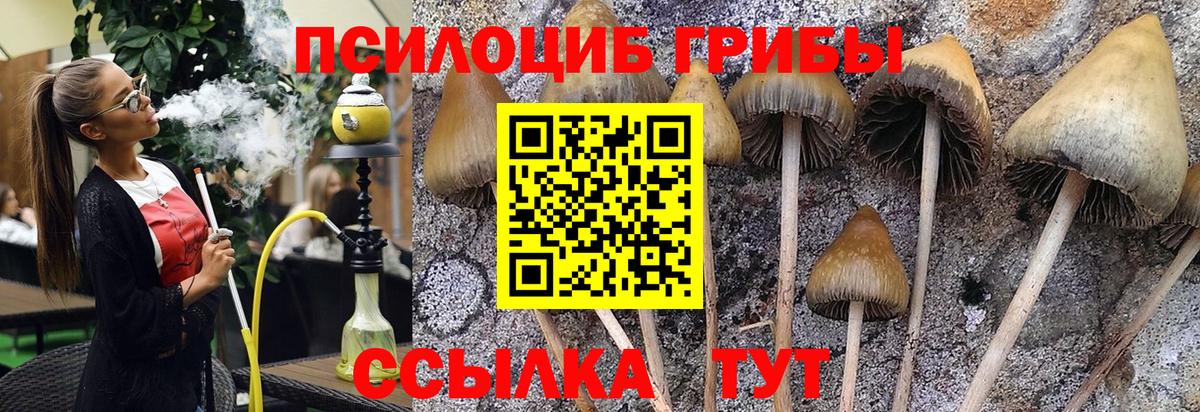 Псилоцибиновые грибы MAGIC MUSHROOMS Азнакаево