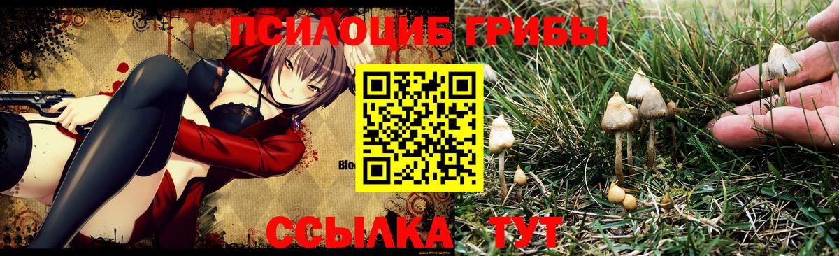 Псилоцибиновые грибы MAGIC MUSHROOMS  Азнакаево  Галлюциногенные грибы мицелий 